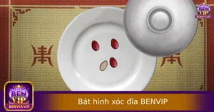 Bát hình xóc đĩa là gì? Cách nhận biết thật – giả