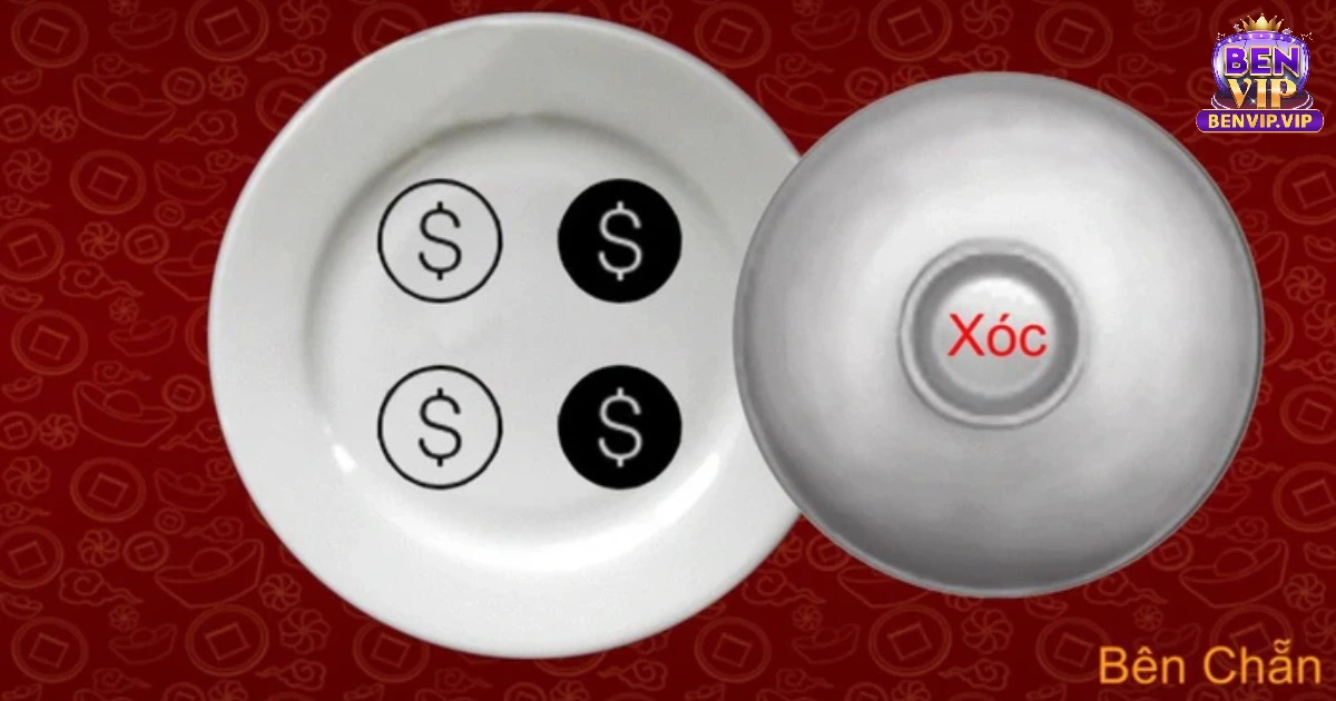 Một vài thông tin cơ bản về bát hình xóc đĩa BENVIP