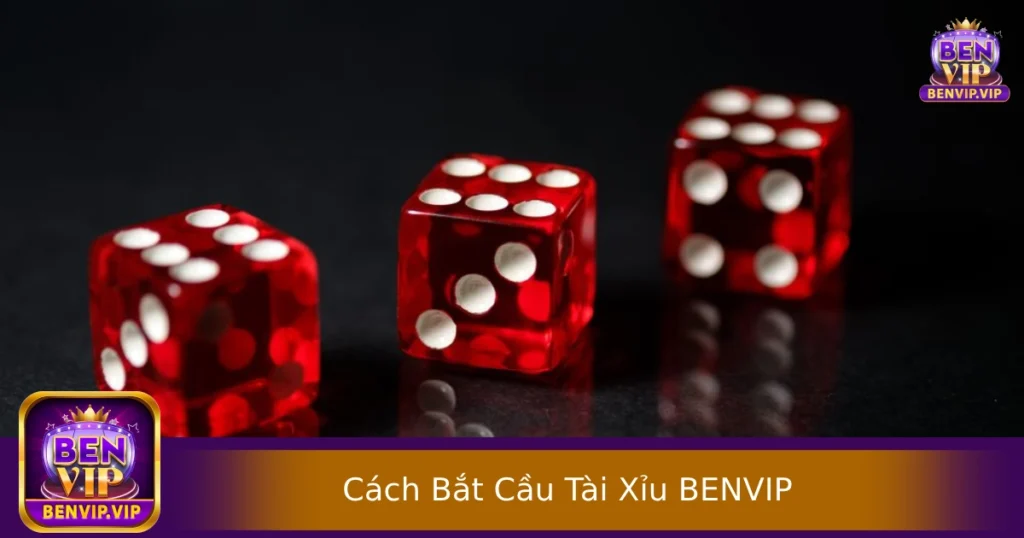 Cách Bắt Cầu Tài Xỉu Hiệu Quả – Bí Kíp Từ Cao Thủ BENVIP