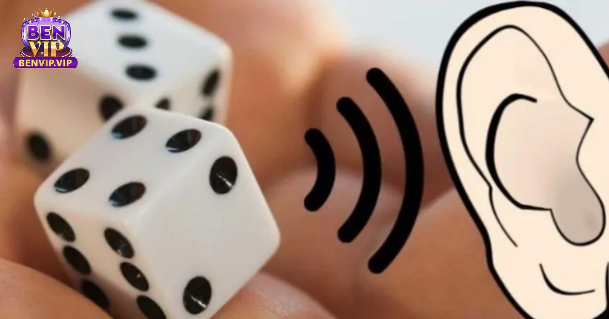 Những yếu tố làm ảnh hưởng âm thanh khi lắc hột