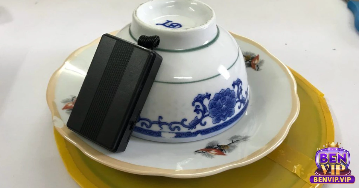 Tất tần tật về cấu tạo của quân cảm ứng xóc đĩa