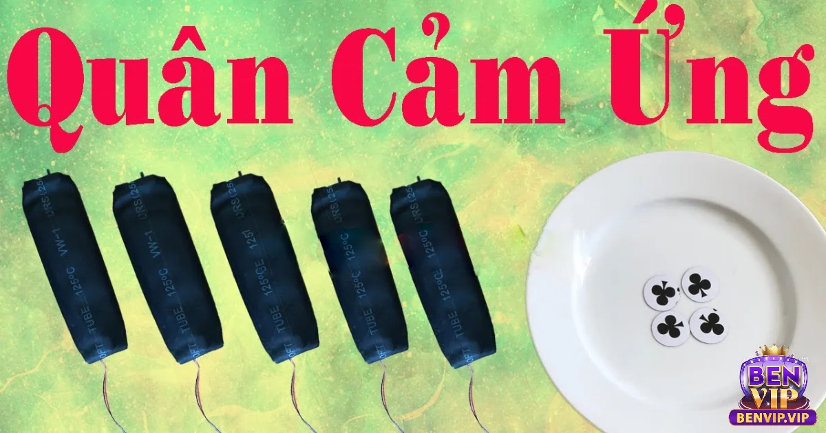 Giới thiệu sơ qua về quân cảm ứng xóc đĩa