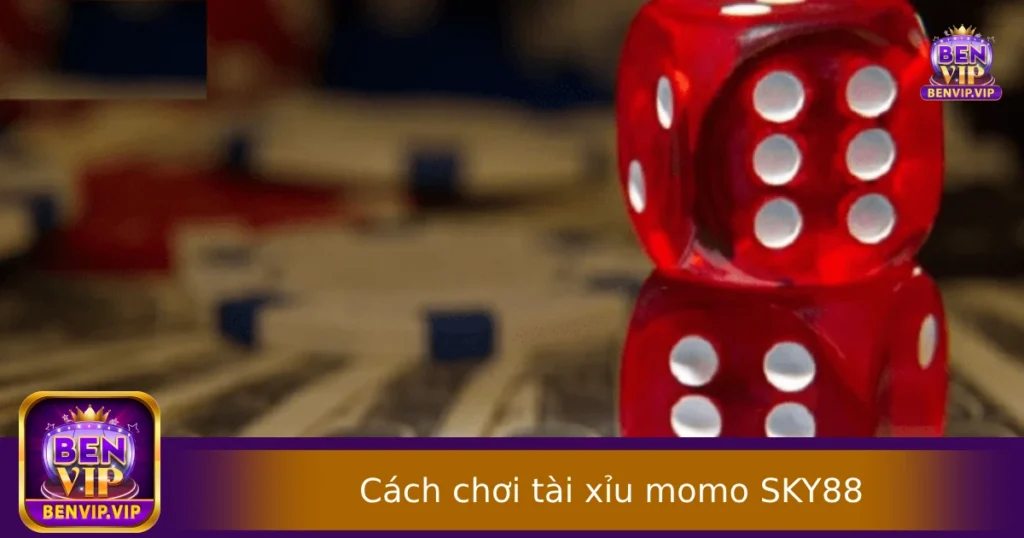 Hướng Dẫn Cách Chơi Tài Xỉu Momo Tại BENVIP – Nhanh Gọn Và Dễ Trúng